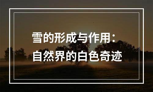 雪的形成与作用：自然界的白色奇迹