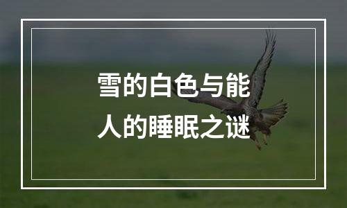 雪的白色与能人的睡眠之谜