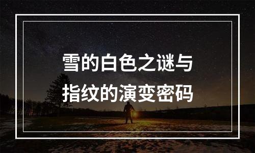 雪的白色之谜与指纹的演变密码