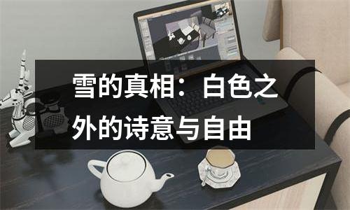 雪的真相：白色之外的诗意与自由