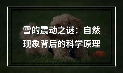 雪的震动之谜：自然现象背后的科学原理