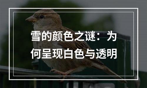 雪的颜色之谜：为何呈现白色与透明