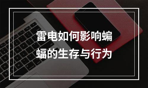 雷电如何影响蝙蝠的生存与行为