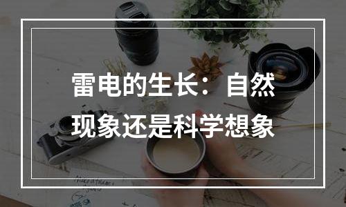 雷电的生长：自然现象还是科学想象