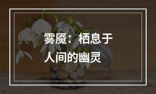 雾魇：栖息于人间的幽灵