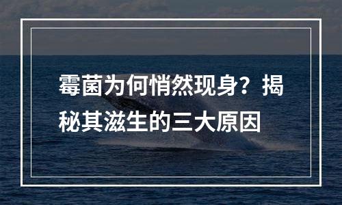 霉菌为何悄然现身？揭秘其滋生的三大原因