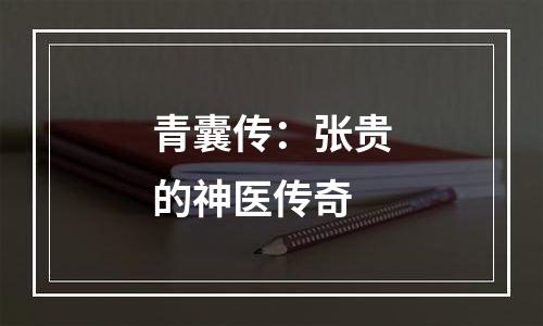 青囊传：张贵的神医传奇