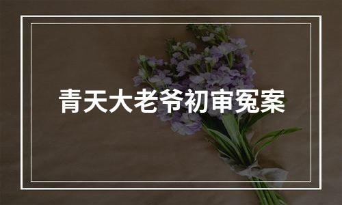 青天大老爷初审冤案
