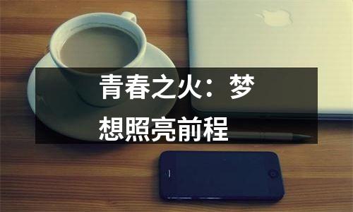 青春之火：梦想照亮前程