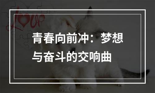 青春向前冲：梦想与奋斗的交响曲