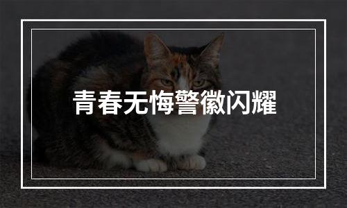 青春无悔警徽闪耀