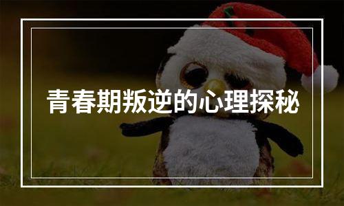 青春期叛逆的心理探秘