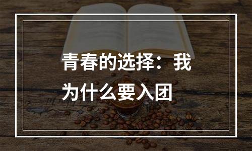 青春的选择：我为什么要入团