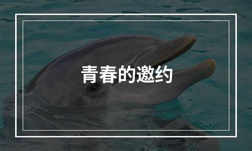 青春的邀约