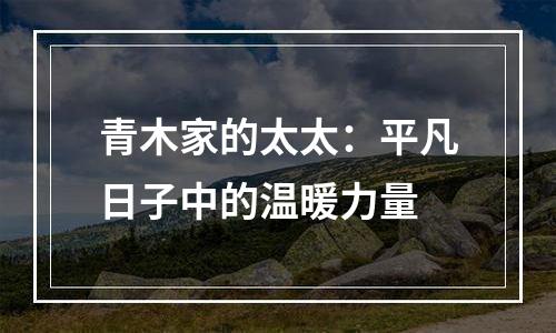 青木家的太太：平凡日子中的温暖力量