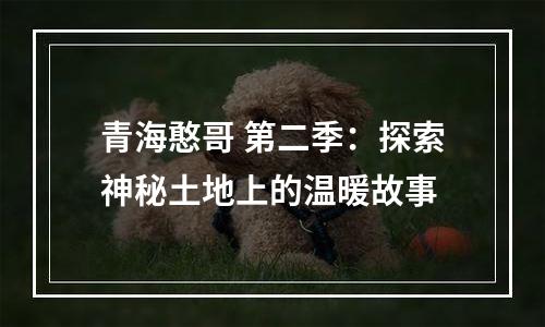 青海憨哥 第二季：探索神秘土地上的温暖故事