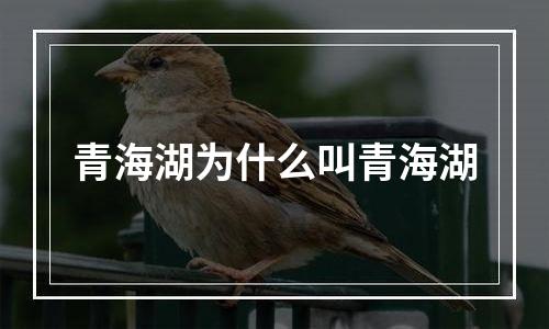青海湖为什么叫青海湖