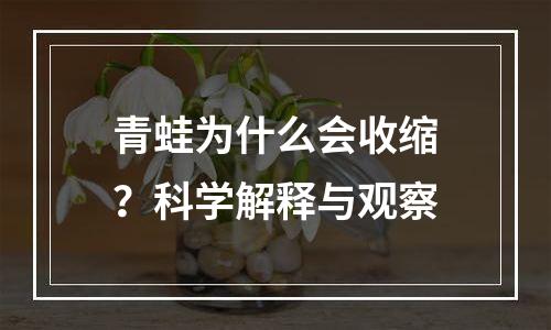 青蛙为什么会收缩？科学解释与观察