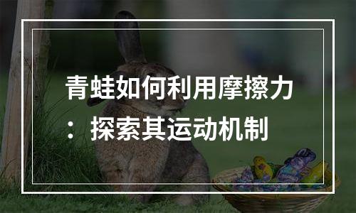 青蛙如何利用摩擦力：探索其运动机制