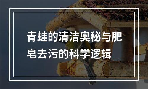 青蛙的清洁奥秘与肥皂去污的科学逻辑