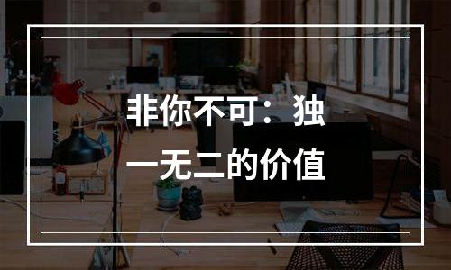 非你不可：独一无二的价值