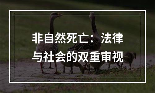 非自然死亡：法律与社会的双重审视