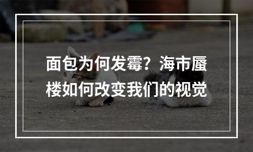 面包为何发霉？海市蜃楼如何改变我们的视觉