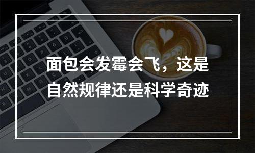 面包会发霉会飞，这是自然规律还是科学奇迹