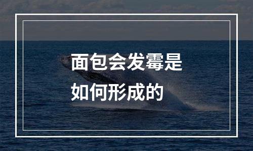 面包会发霉是如何形成的