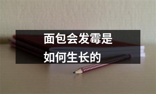 面包会发霉是如何生长的