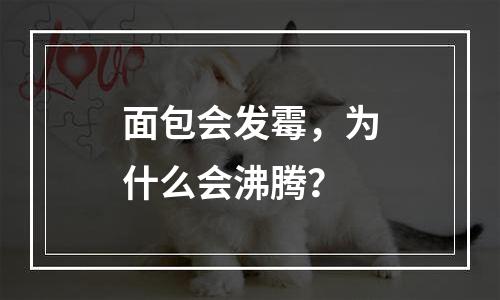 面包会发霉，为什么会沸腾？
