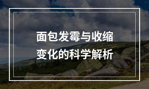 面包发霉与收缩变化的科学解析