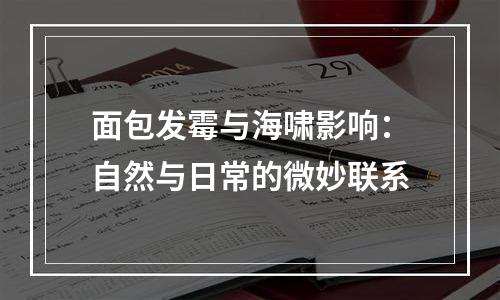 面包发霉与海啸影响：自然与日常的微妙联系