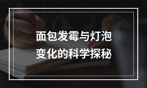面包发霉与灯泡变化的科学探秘