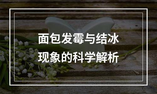 面包发霉与结冰现象的科学解析