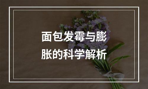 面包发霉与膨胀的科学解析
