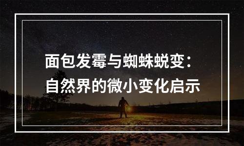 面包发霉与蜘蛛蜕变：自然界的微小变化启示