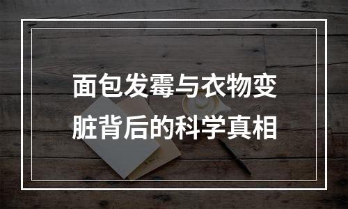 面包发霉与衣物变脏背后的科学真相