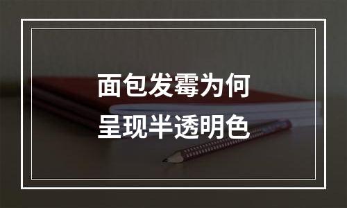 面包发霉为何呈现半透明色