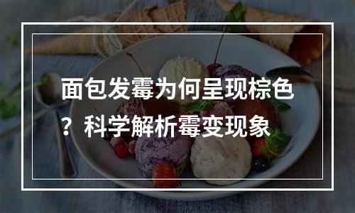 面包发霉为何呈现棕色？科学解析霉变现象