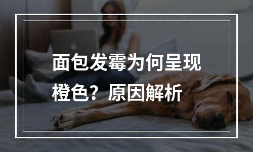 面包发霉为何呈现橙色？原因解析