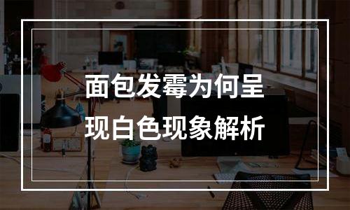 面包发霉为何呈现白色现象解析