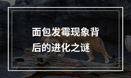 面包发霉现象背后的进化之谜