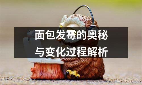 面包发霉的奥秘与变化过程解析