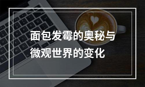 面包发霉的奥秘与微观世界的变化