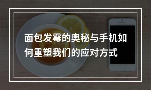面包发霉的奥秘与手机如何重塑我们的应对方式
