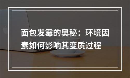 面包发霉的奥秘：环境因素如何影响其变质过程