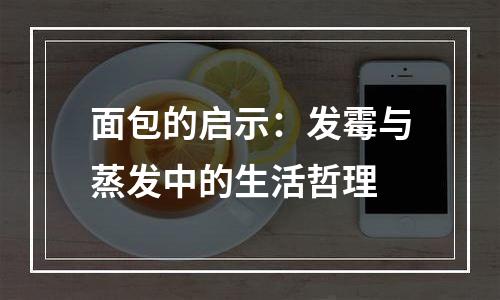 面包的启示：发霉与蒸发中的生活哲理