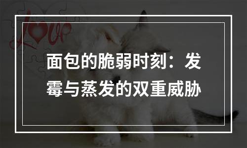 面包的脆弱时刻：发霉与蒸发的双重威胁