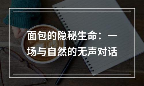 面包的隐秘生命：一场与自然的无声对话